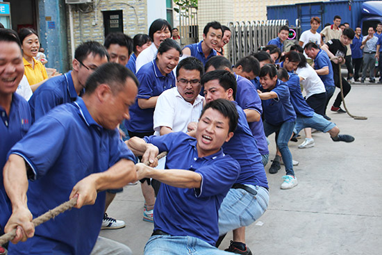 550.jpg 550.jpg